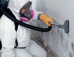 Best Mold Removal for HVAC Installations in USA